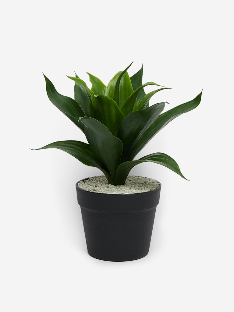 Westside Home Green Artificial Sansevieria Plant