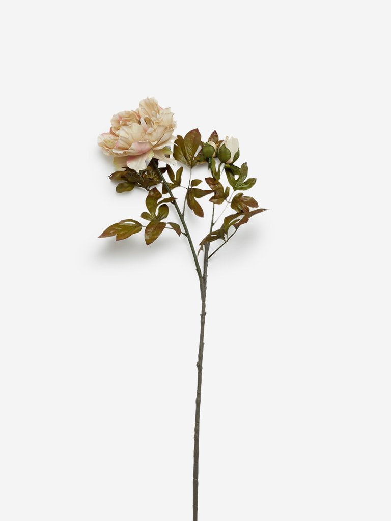 Westside Home Off White Artificial Peony Flower