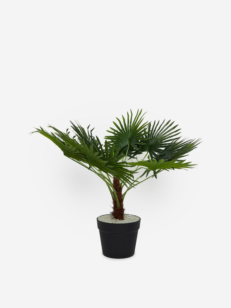 Westside Home Green Artificial Palm Fronds