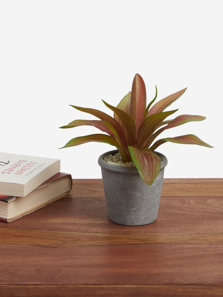 Westside Home Pink Artificial Trio Star Plant