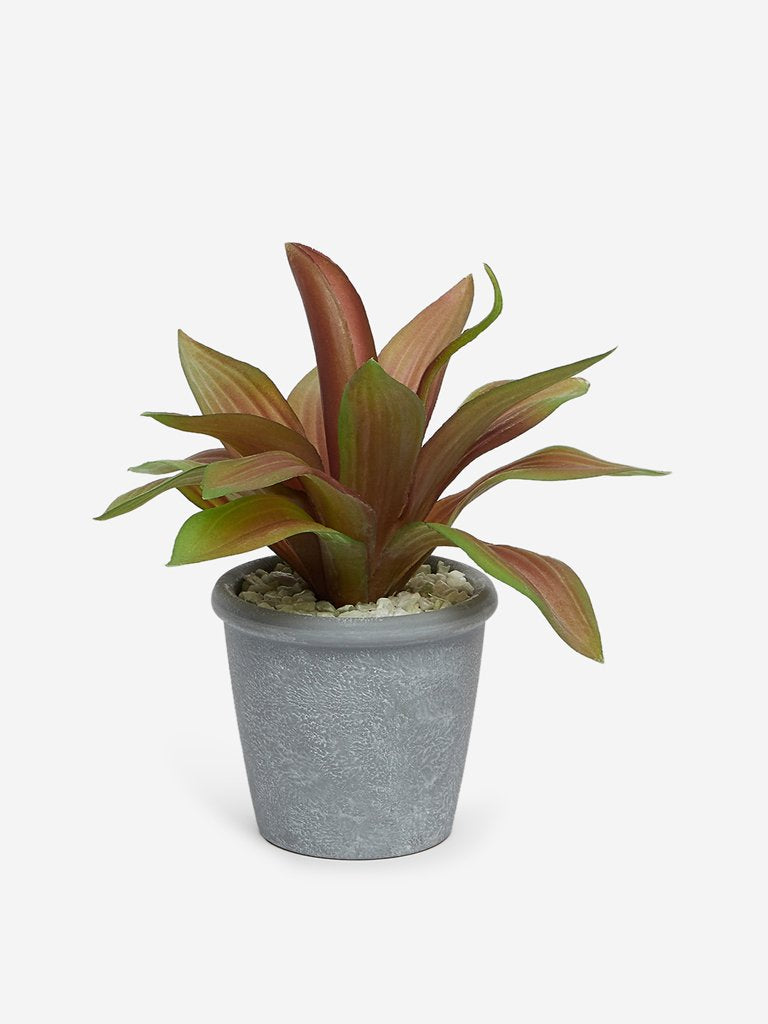 Westside Home Pink Artificial Trio Star Plant