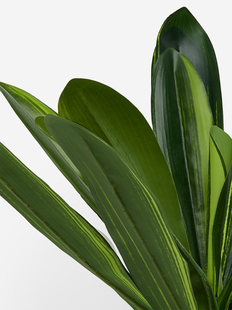 Westside Home Green Artificial Dracaena Lemon Lime Plant
