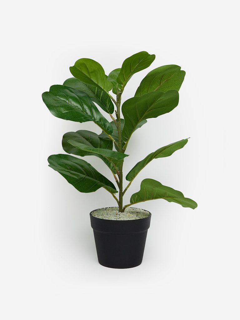 Westside Home Green Artificial Fiddle-Leaf Fig Plant