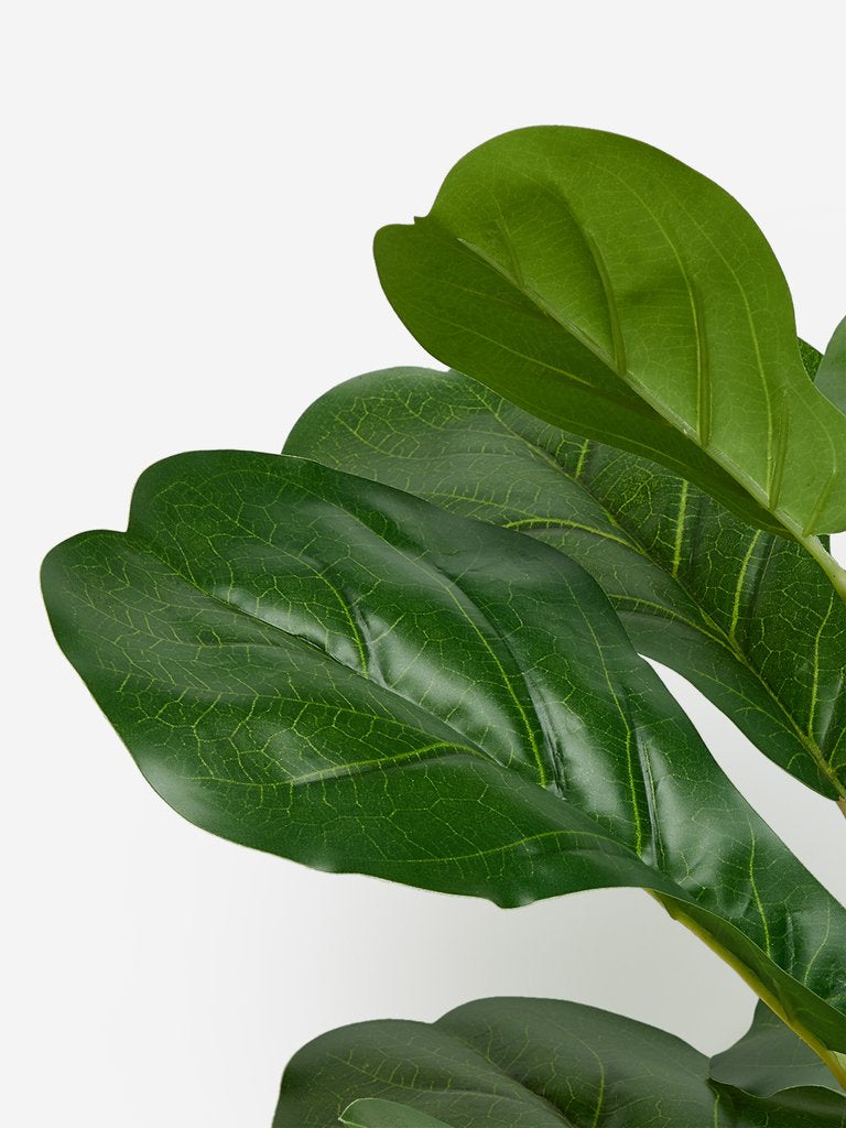Westside Home Green Artificial Fiddle-Leaf Fig Plant