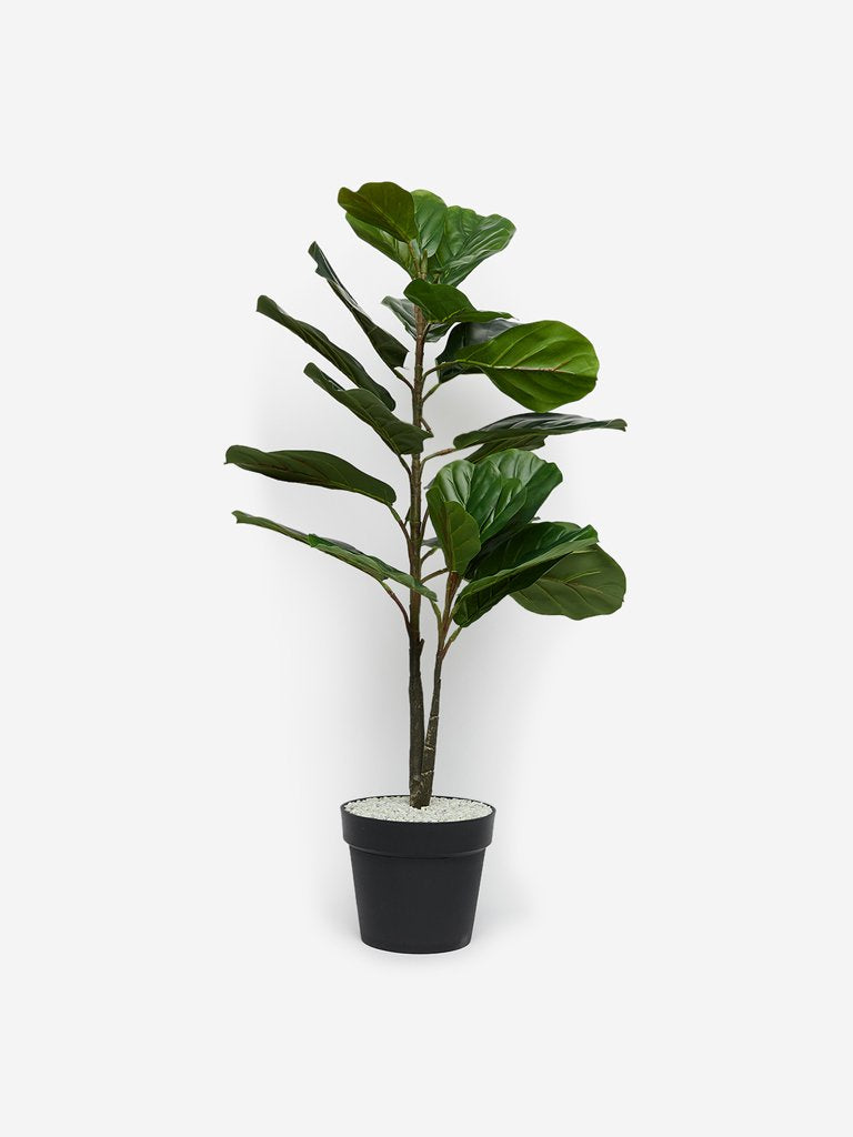 Westside Home Green Artificial Medium Fiddle-Leaf Fig Plant