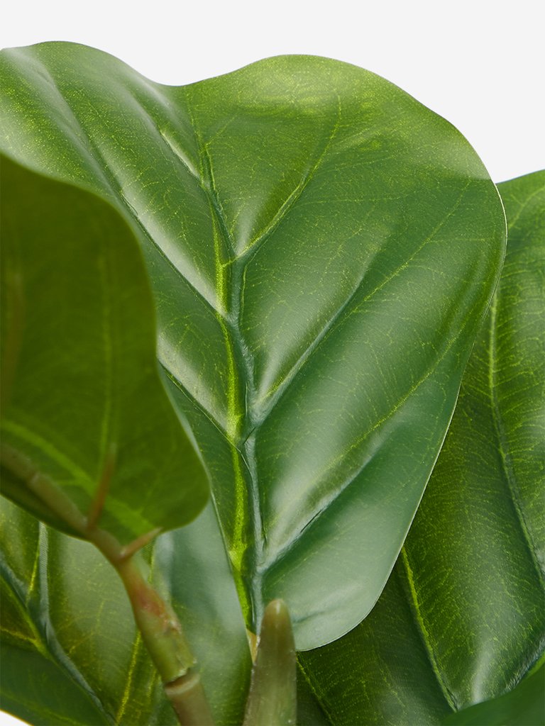 Westside Home Green Artificial Medium Fiddle-Leaf Fig Plant