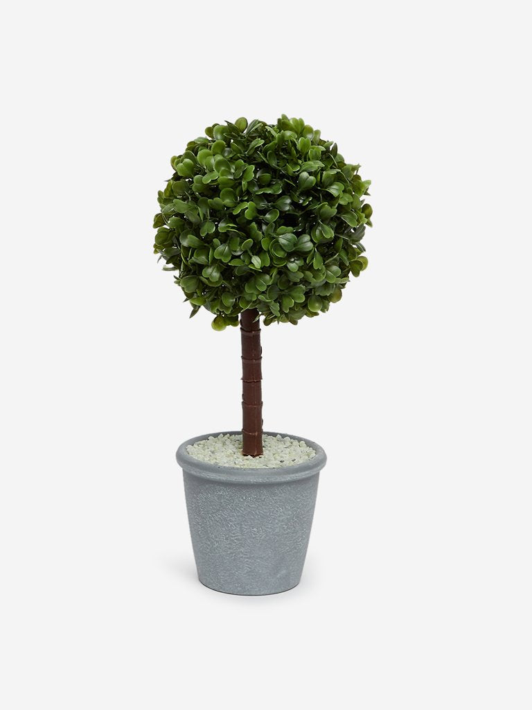 Westside Home Green Artificial Box Wood Plant