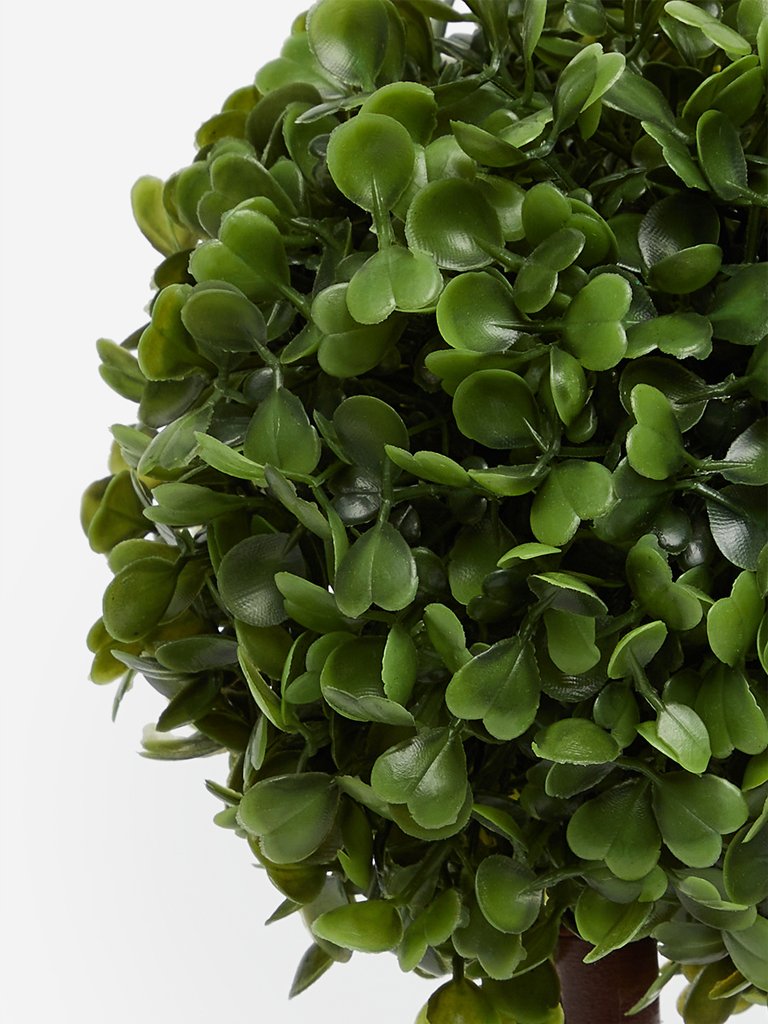 Westside Home Green Artificial Box Wood Plant