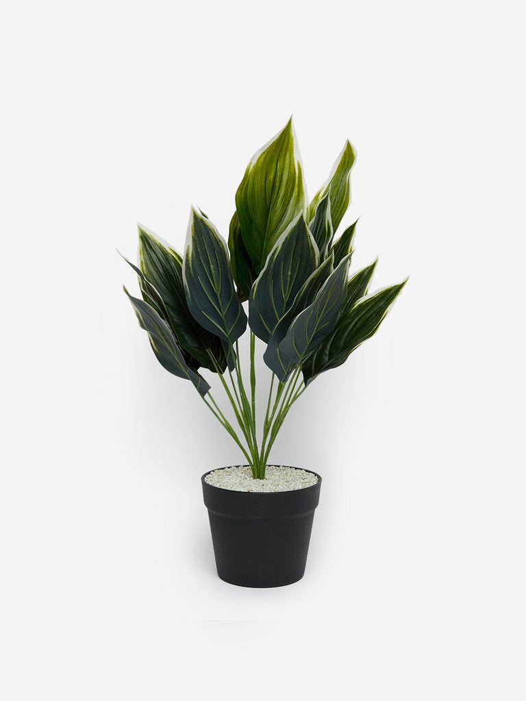 Westside Home Green Artificial Variegated Leaf Plant