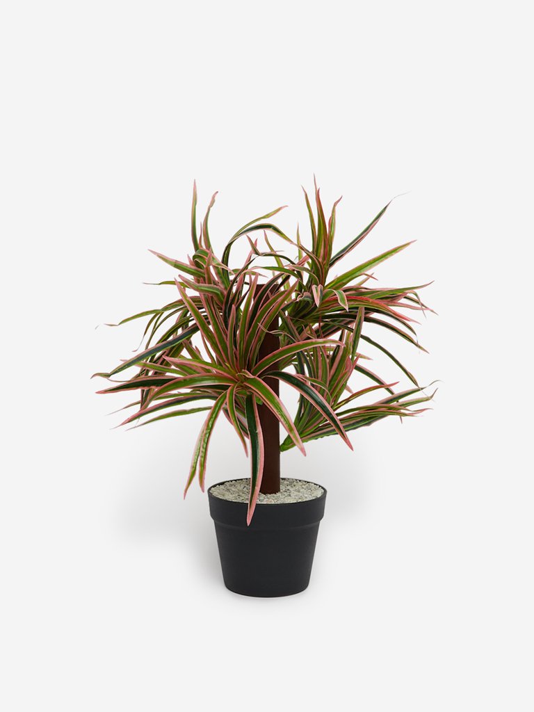 Westside Home Green Artificial Dragon Potted Plant