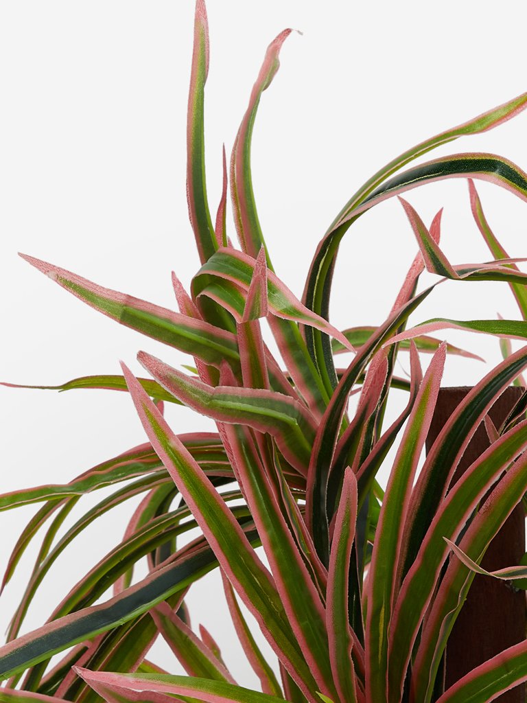 Westside Home Green Artificial Dragon Potted Plant