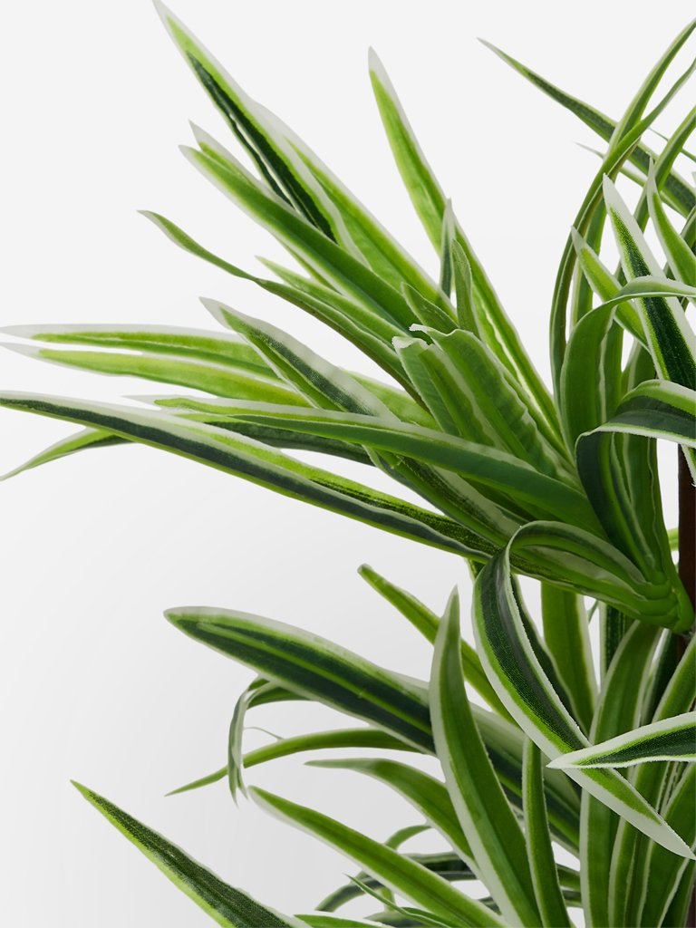 Westside Home Green And White Artificial Dragon Potted Plant