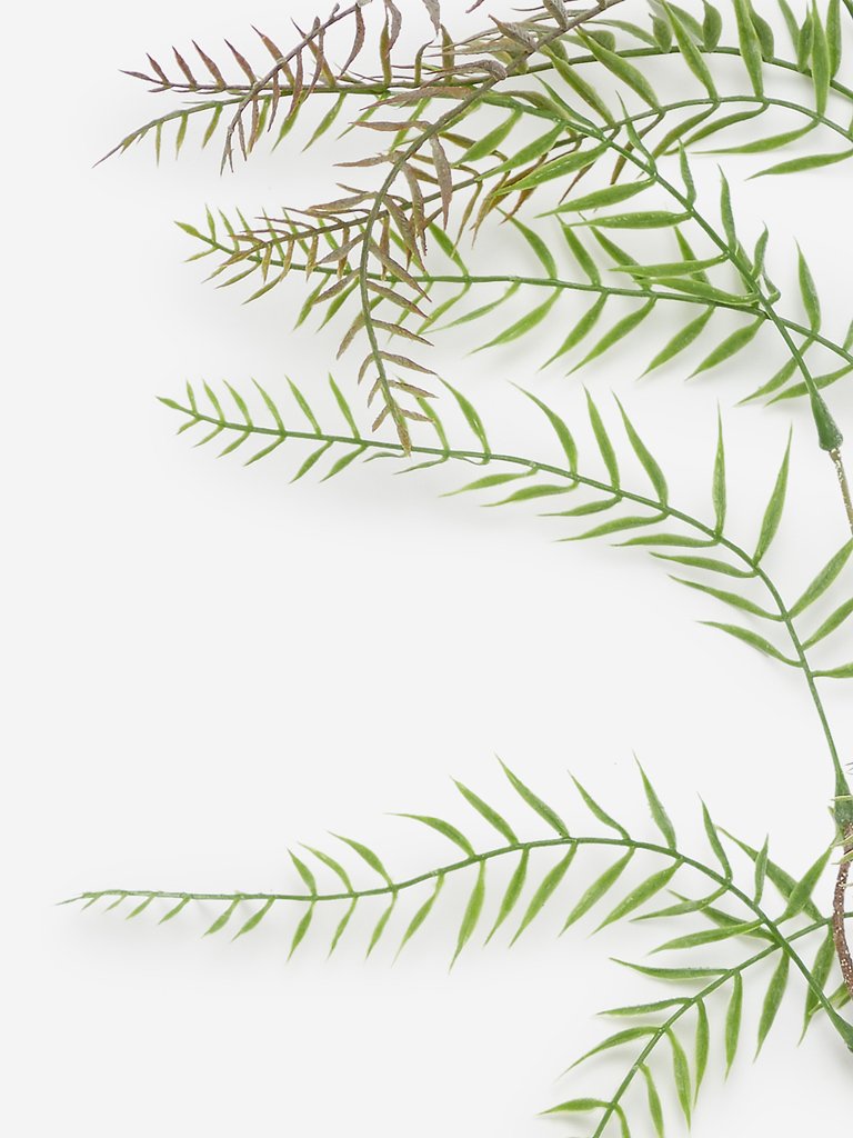 Westside Home Green Artificial Fern Leaves